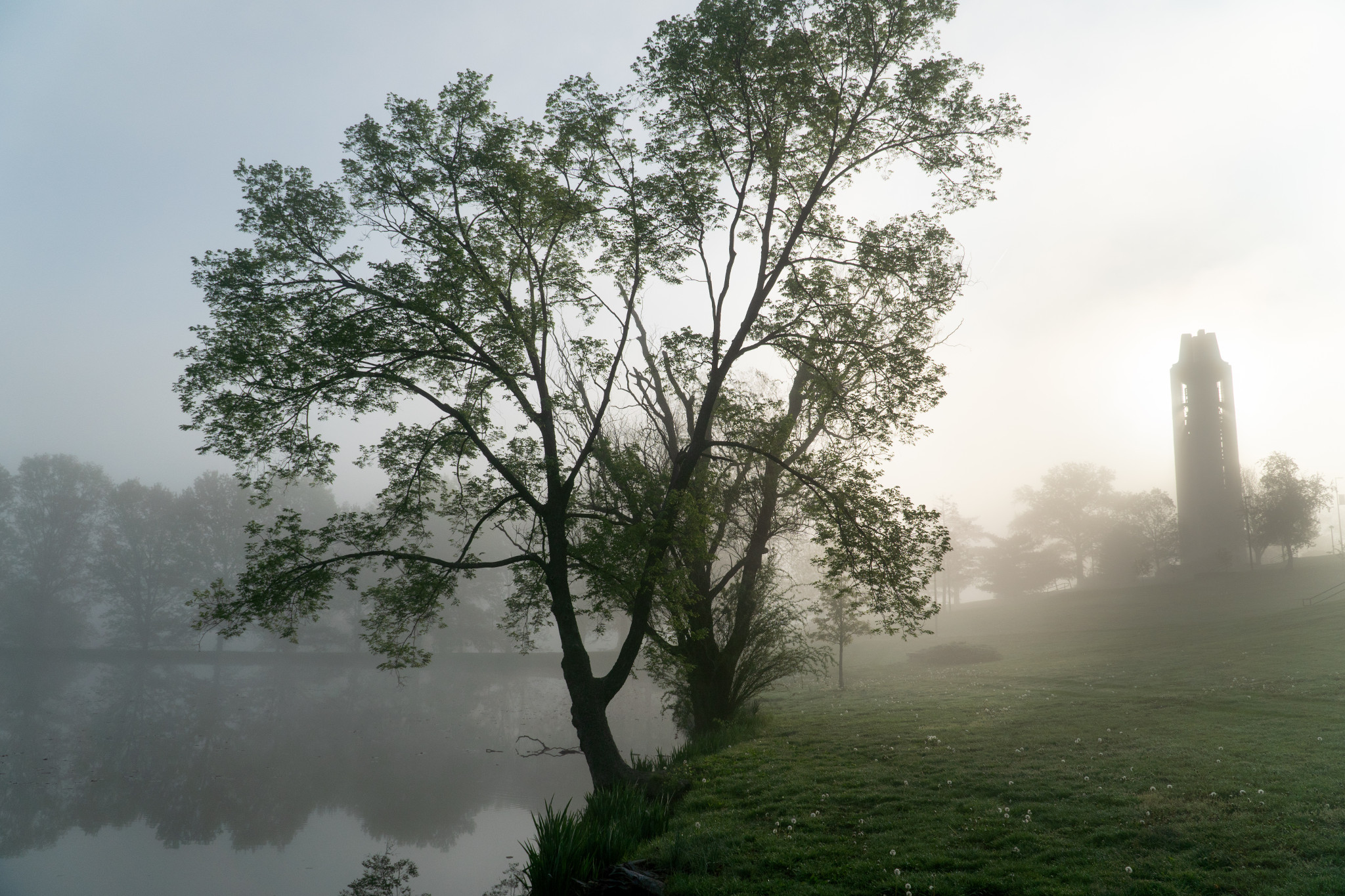 Fog over Potter Lake