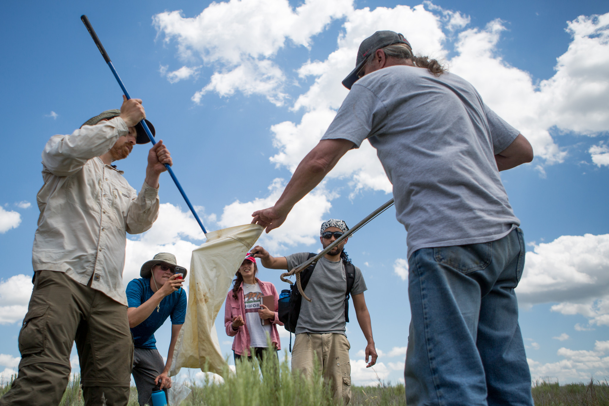 Students capturing insects in the field