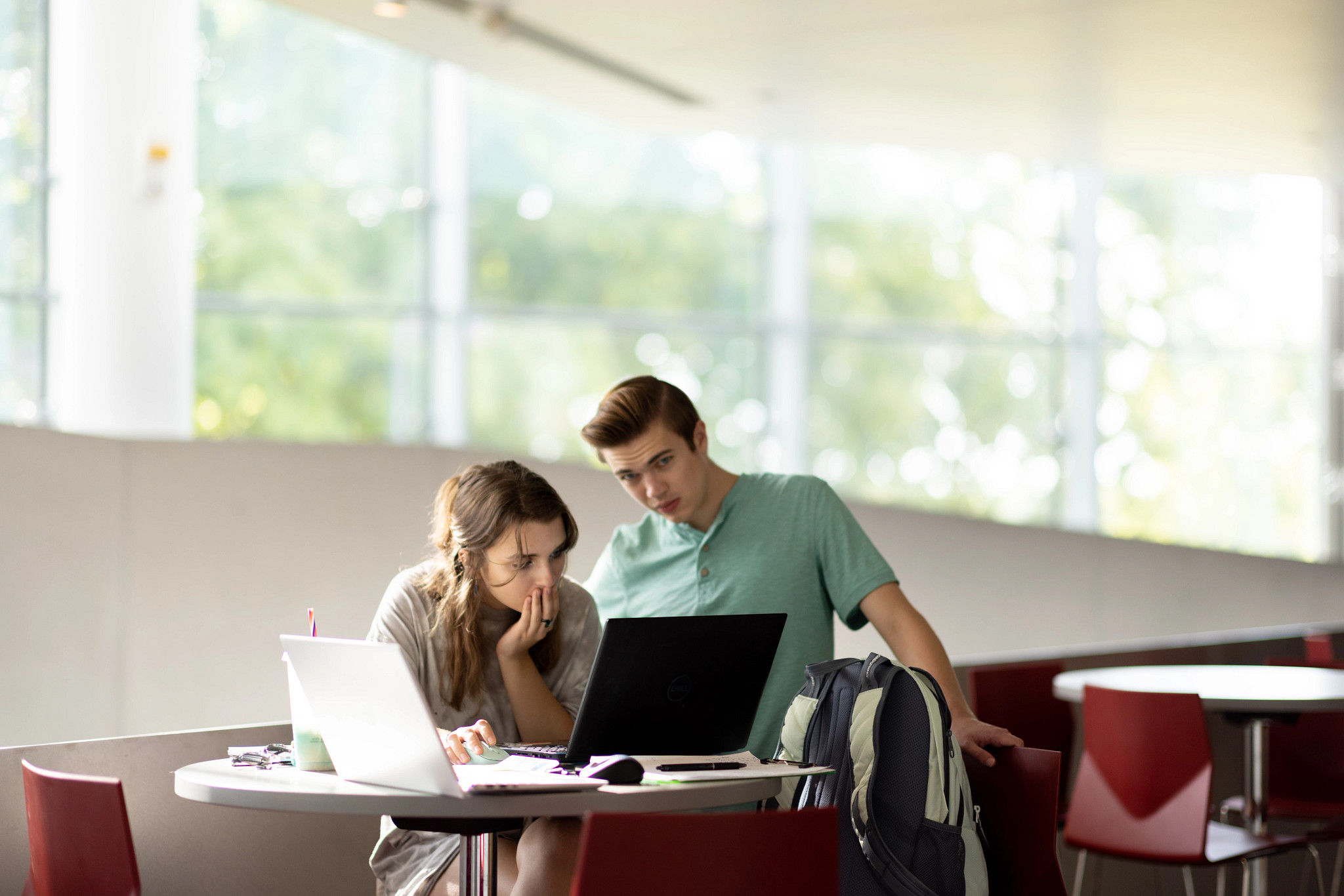 Two students studying together